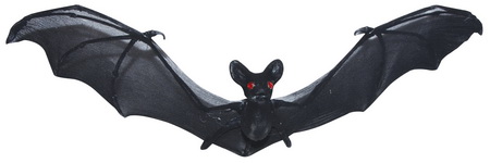 Bat